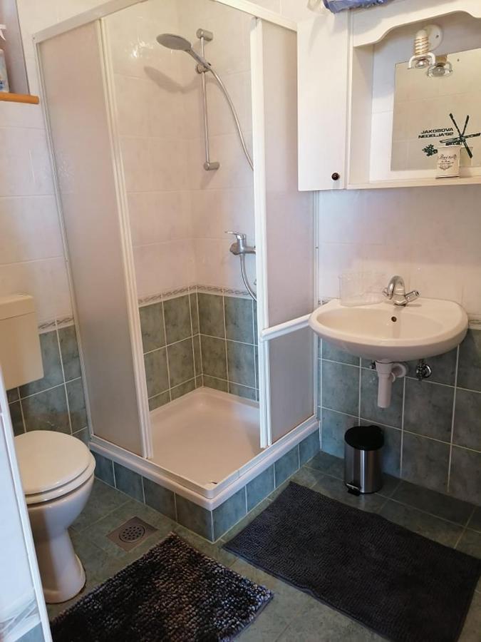 Apartma Pusa Pesnica pri Mariboru Ngoại thất bức ảnh